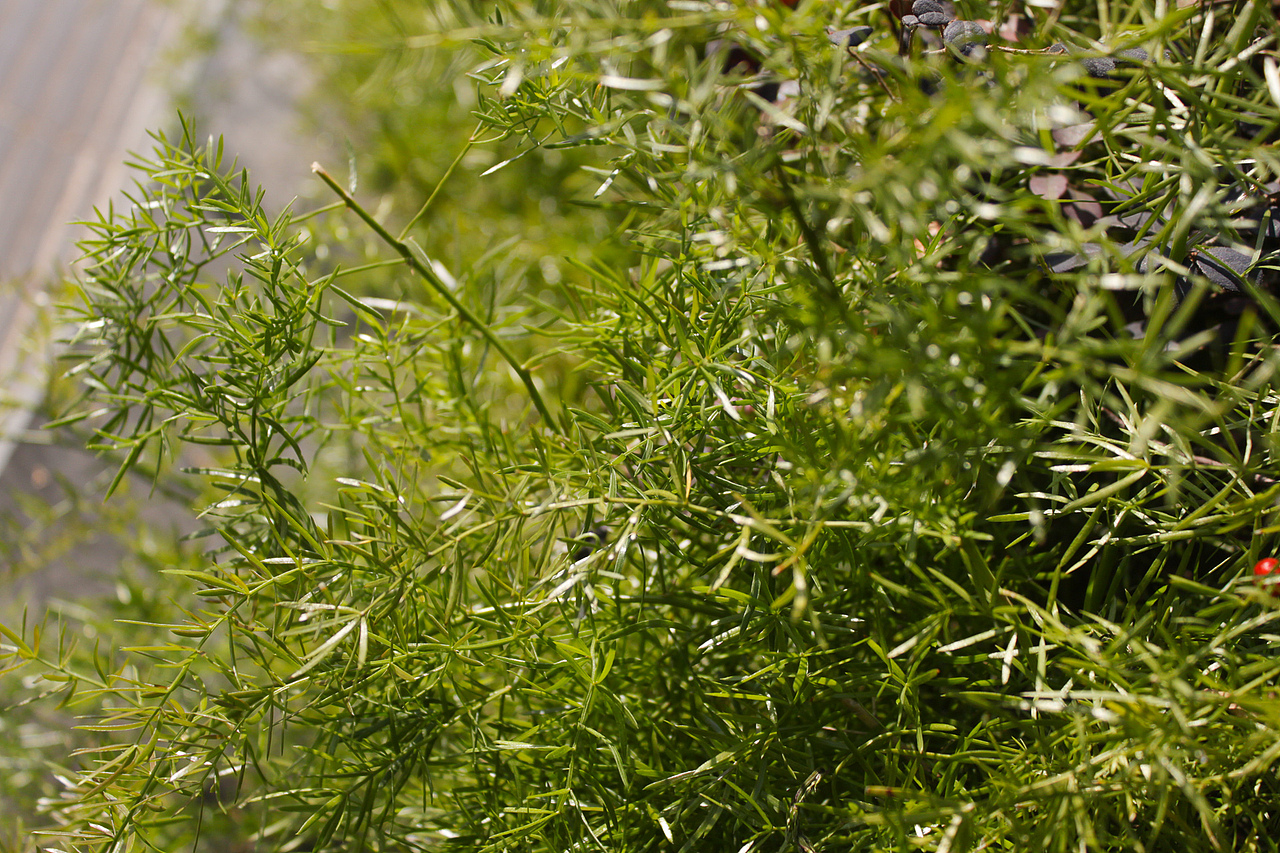 冬日深圳-街头随拍（图ZMTM3NjczOTY=） - 环境/建筑摄影 - 站酷设计师sundyme原创素材 - 站酷ZCOOL