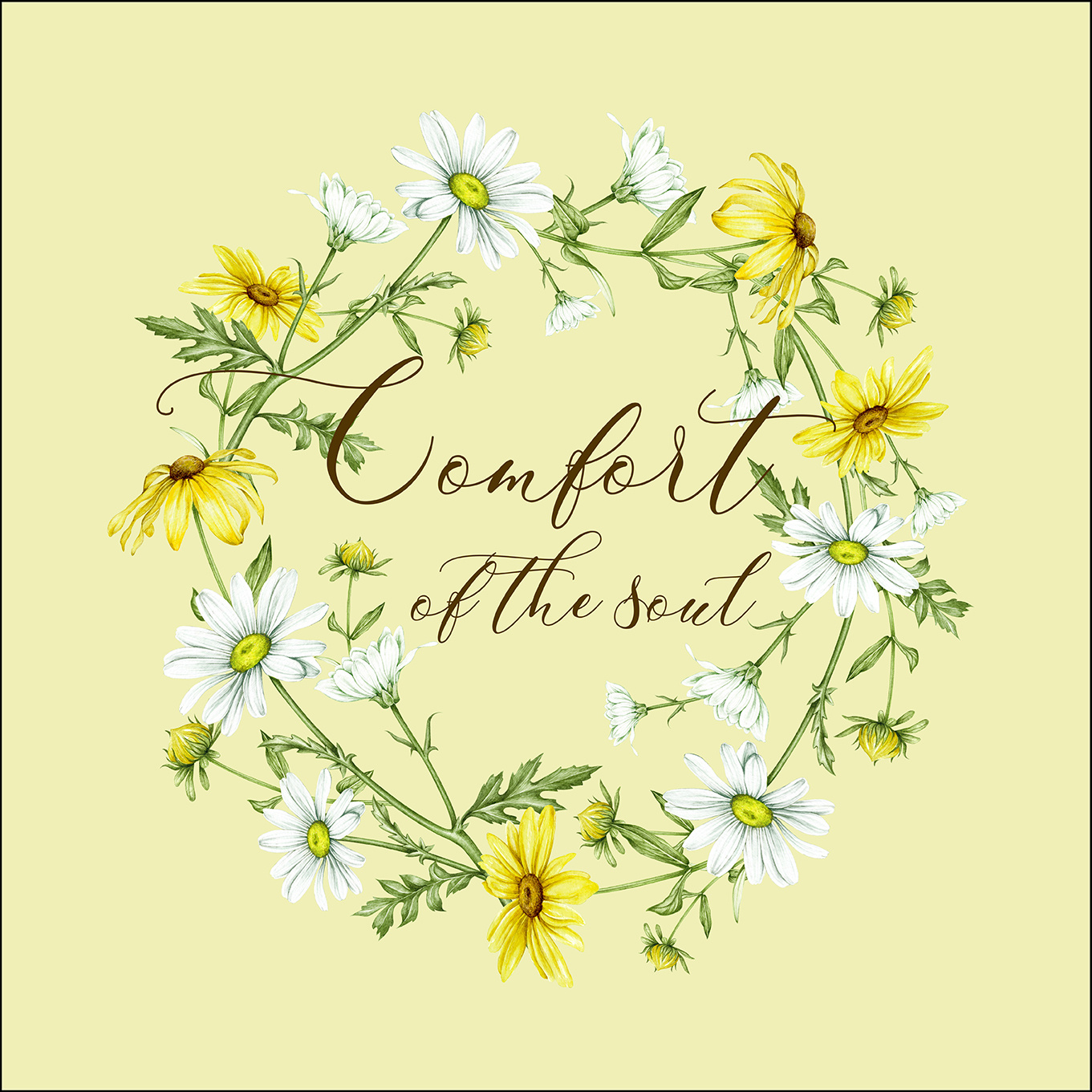 手绘植物篇(雏菊)