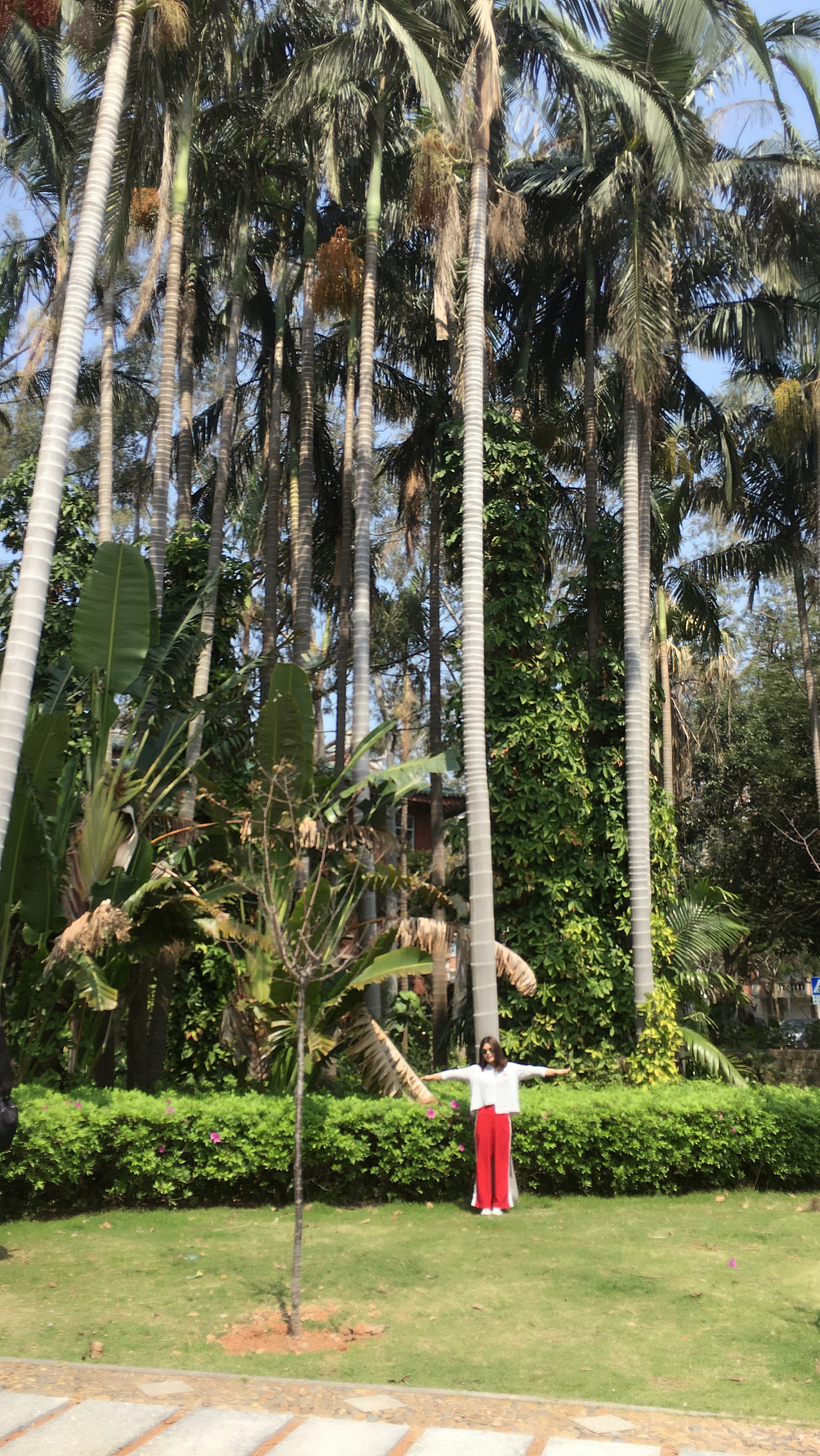 厦门大学走一走（图ZNzg1NTY0NzY=） - 人像摄影 - 站酷设计师1652055183原创素材 - 站酷ZCOOL