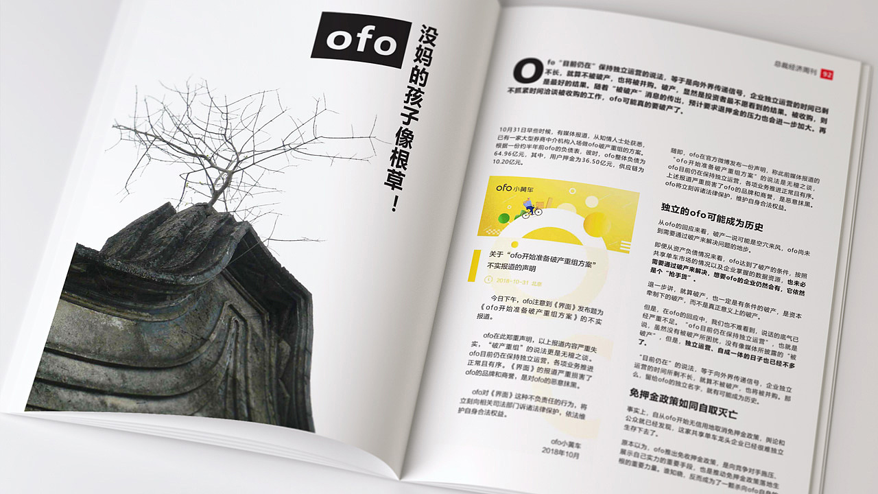 经济周刊（图ZMTcwOTQ0NjQ4） - 书籍/画册 - 站酷设计师智慧鸟品牌设计原创素材 - 站酷ZCOOL