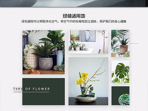 绿植详情页