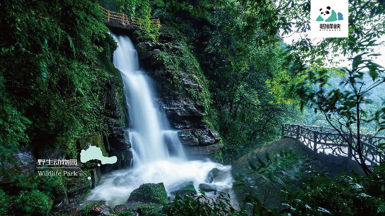 碧峰峡野生动物园案例重整（图ZMjIzMTYxNDgw） - 品牌 - 站酷设计师17HH原创素材 - 站酷ZCOOL