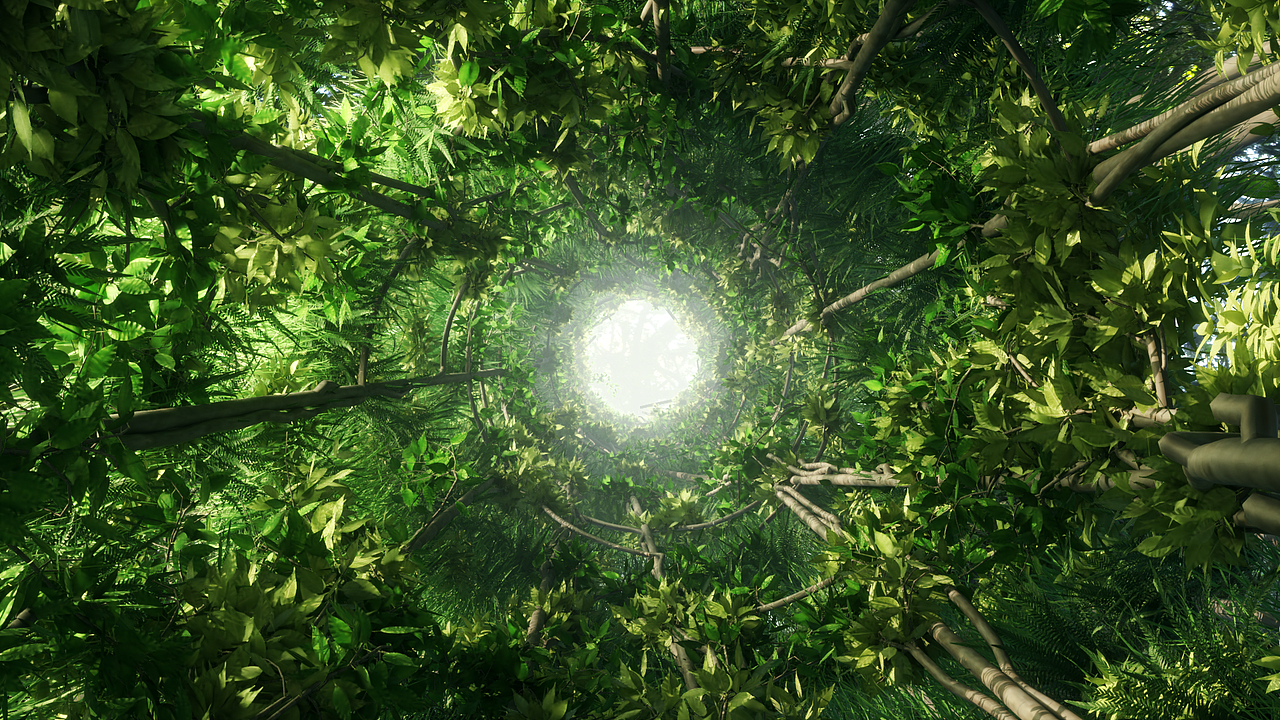 概念练习&草稿图