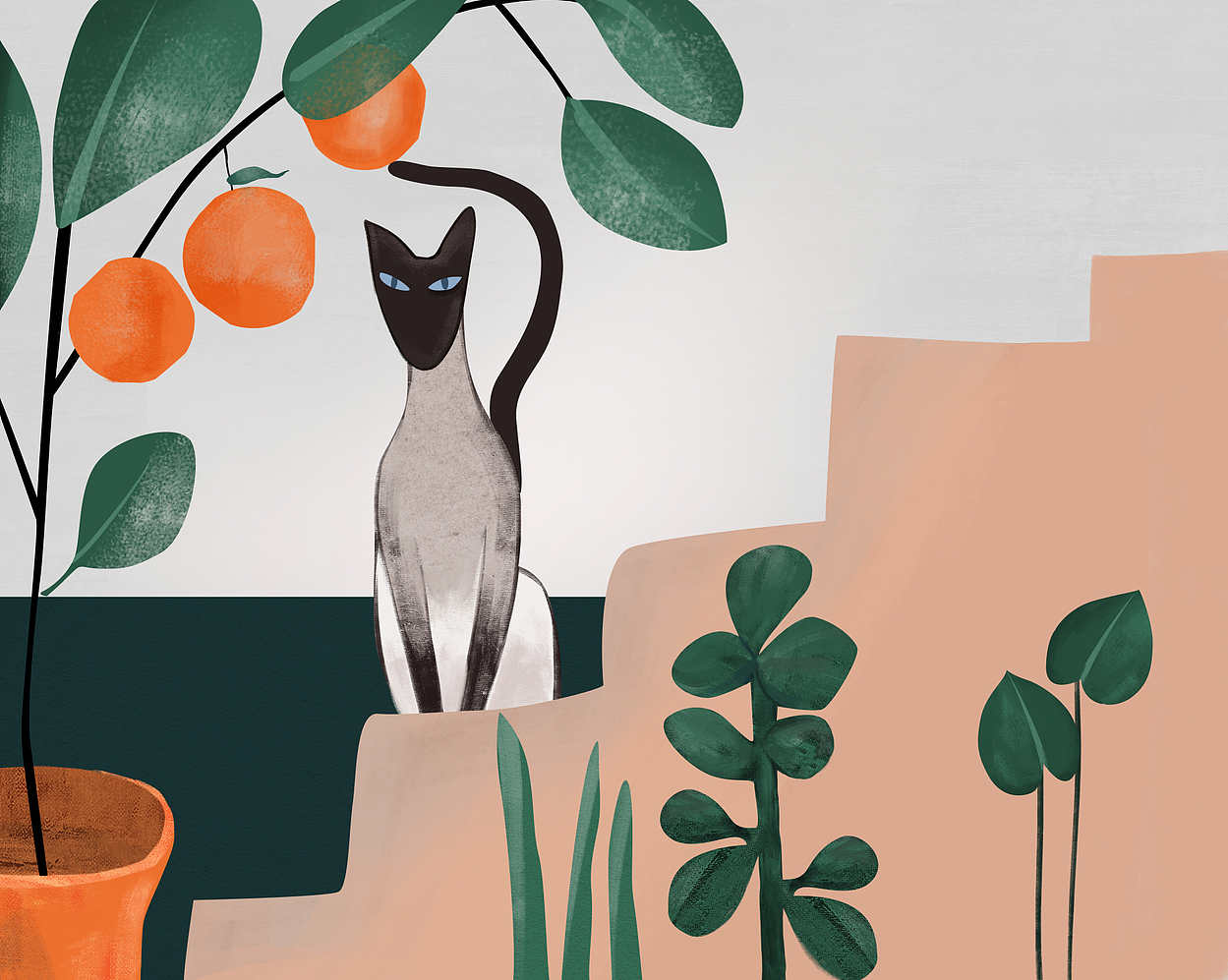 拾忆—绿植与猫