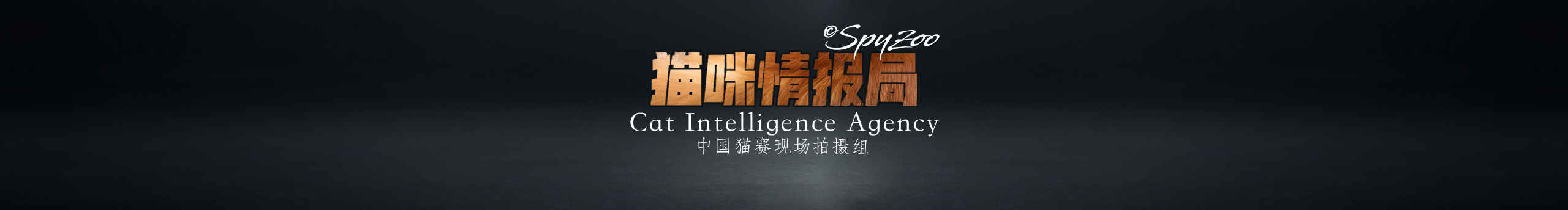 spyzoo的個(gè)人主頁(yè)（封面預(yù)覽） - 主頁(yè)封面設(shè)置 - 站酷設(shè)計(jì)師spyzoo原創(chuàng)素材 - 站酷ZCOOL