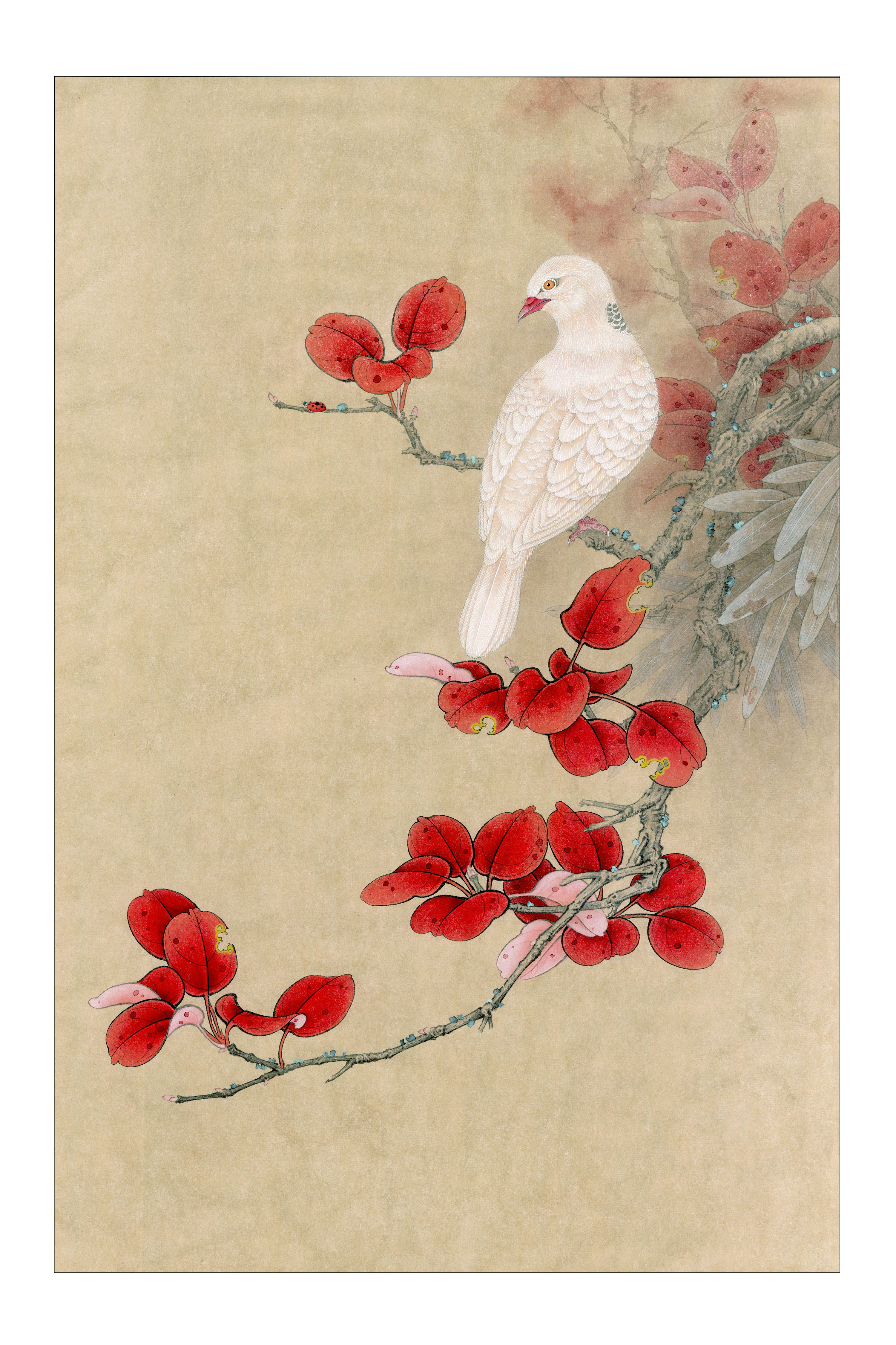 手绘-工笔-红叶白鸽