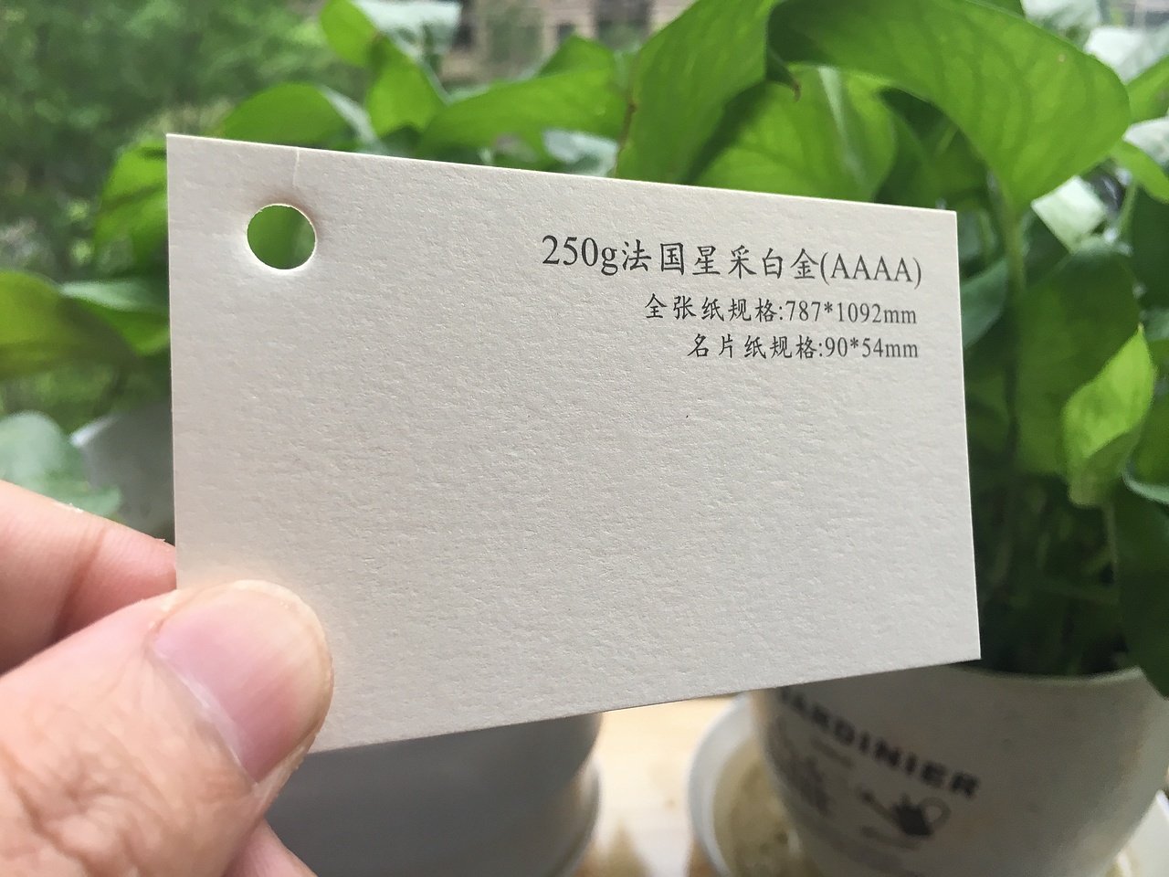 2019款特种纸艺术纸实物展示样册