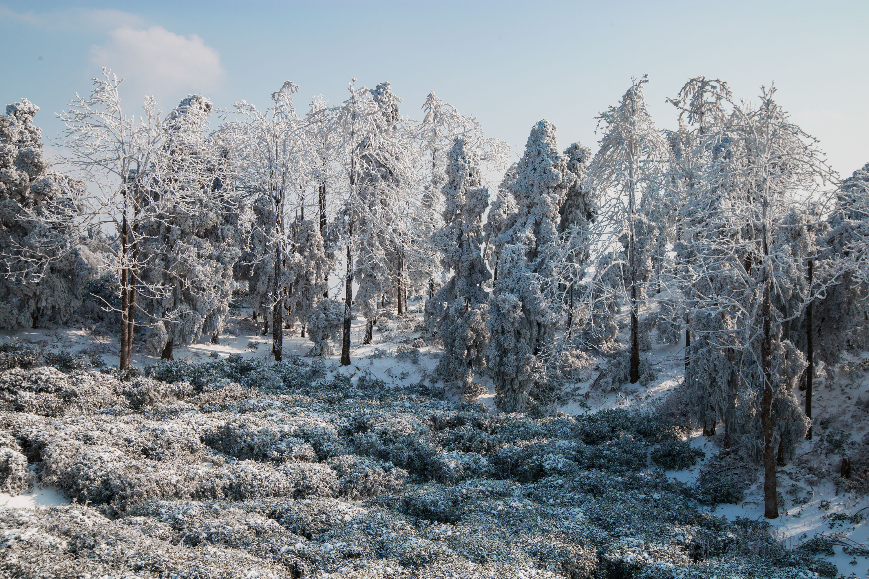 天晴看南方的雪