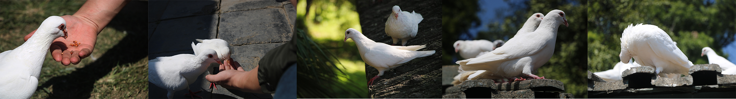 天不早了的個人主頁（封面預(yù)覽） - 主頁封面設(shè)置 - 站酷設(shè)計(jì)師天不早了原創(chuàng)素材 - 站酷ZCOOL