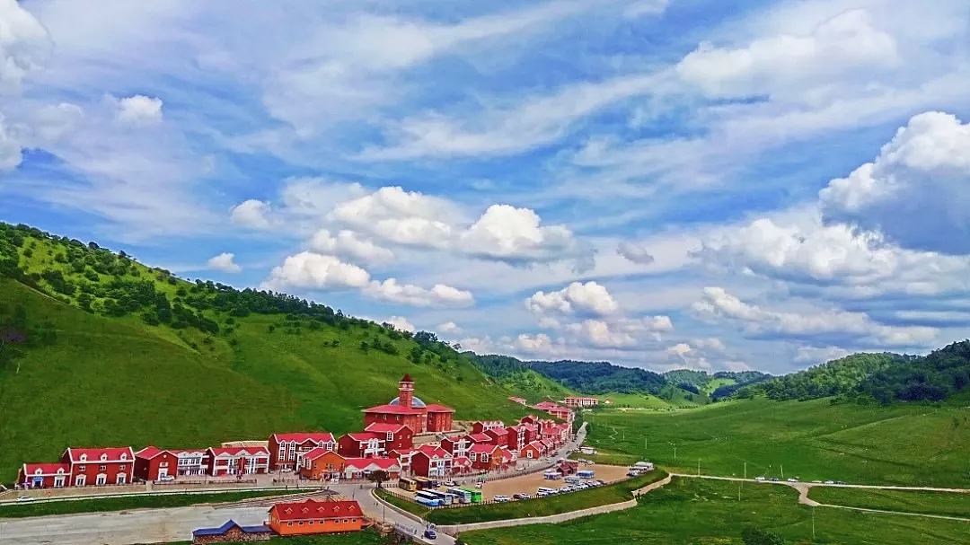 🍀醉在水草丰美的夏天里🍀