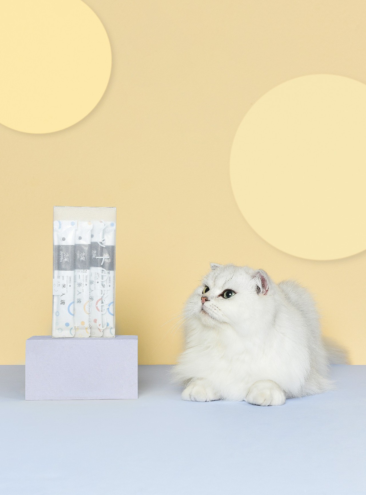 无尾猫条（图ZMjY0Mzc3Mzc2） - 宠物摄影 - 站酷设计师独立摄影原创素材 - 站酷ZCOOL