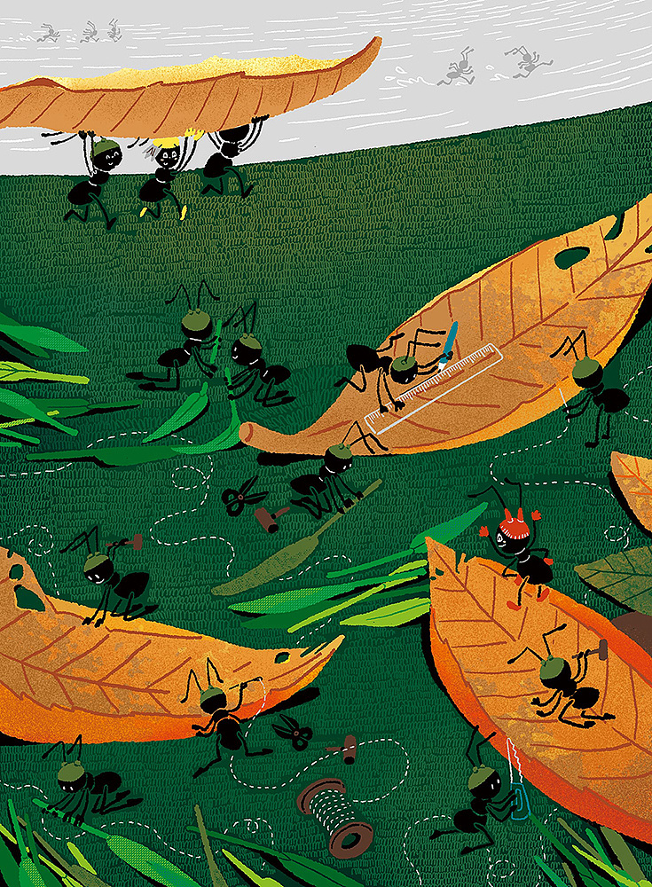 《一只蚂蚁能做些什么》插图|插画|商业插画|周索斓 - 原创作品