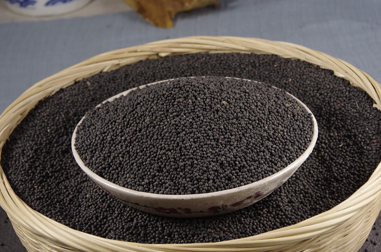 黑油菜籽