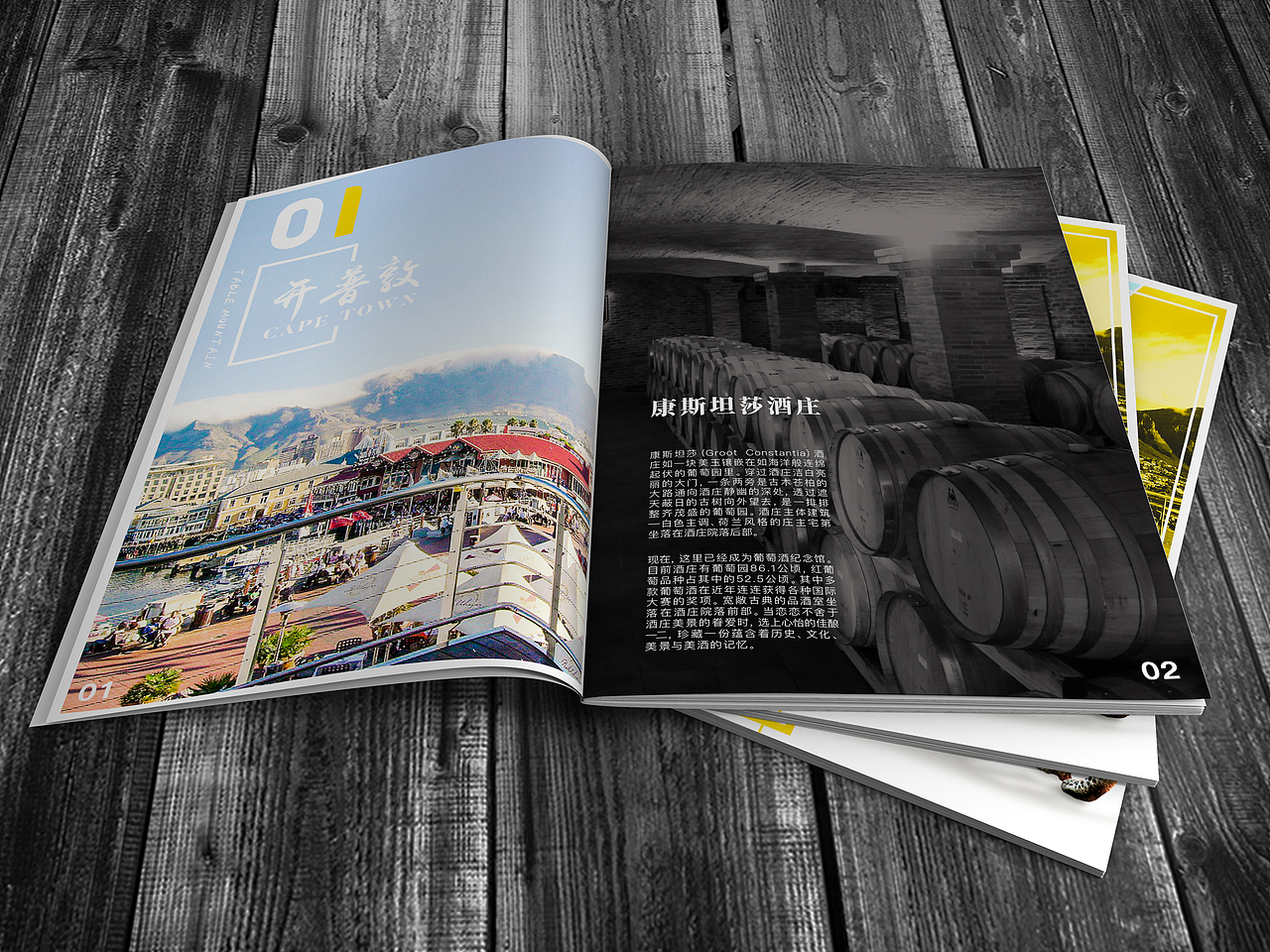 南非旅游产品宣传画册（图ZMTI2MDAwMDY0） - 书籍/画册 - 站酷设计师安歌_Enn_song原创素材 - 站酷ZCOOL