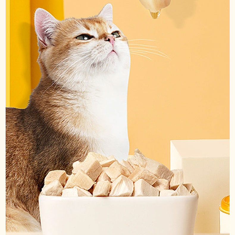 宠物零食冻干桶详情页