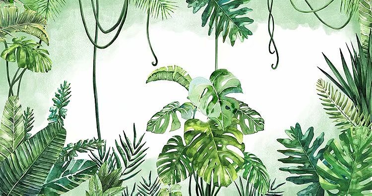 热带雨林图片手绘简单图片