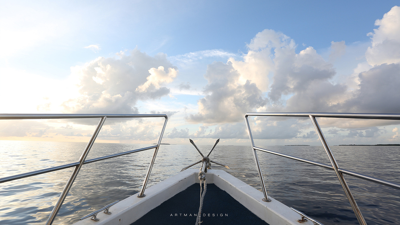 倒数第二天我们出海寻找海豚,最后还真的找到了。