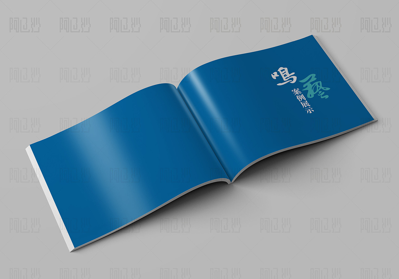 阿辽沙文化交流公司画册（图ZNDA3NTYwNTY=） - 书籍/画册 - 站酷设计师aliosha原创素材 - 站酷ZCOOL