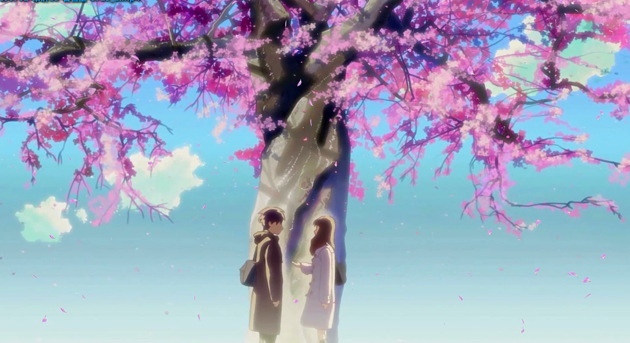 樱花树下 particular粒子特效运用