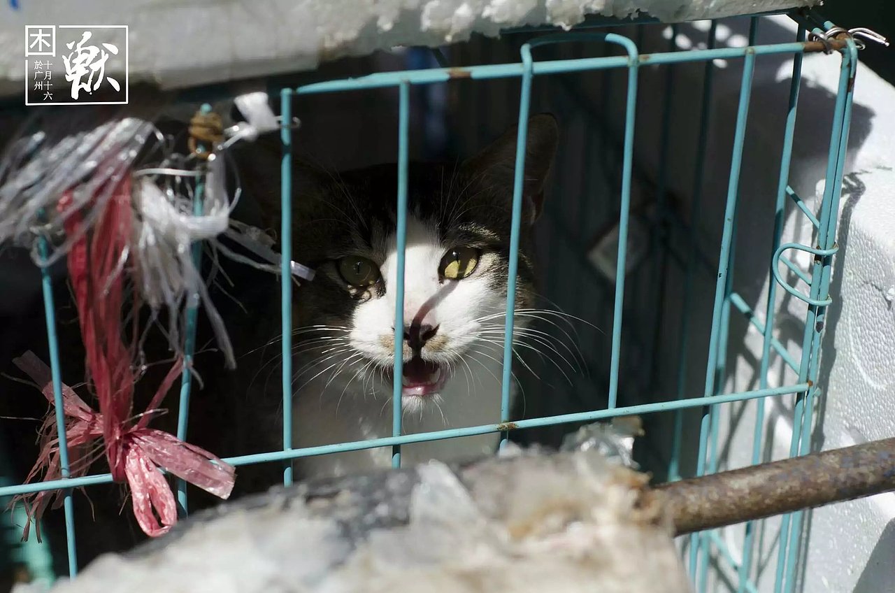 10.16广州行（图ZNjE3Njk2MDA=） - 风光摄影 - 站酷设计师袁勇的作品合集原创素材 - 站酷ZCOOL