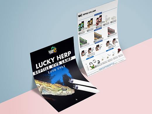 平面类（个人主页-ZMzQ0NjY3NjQ=） - 宣传物料 - 站酷设计师王大喜wdx原创素材 - 站酷ZCOOL