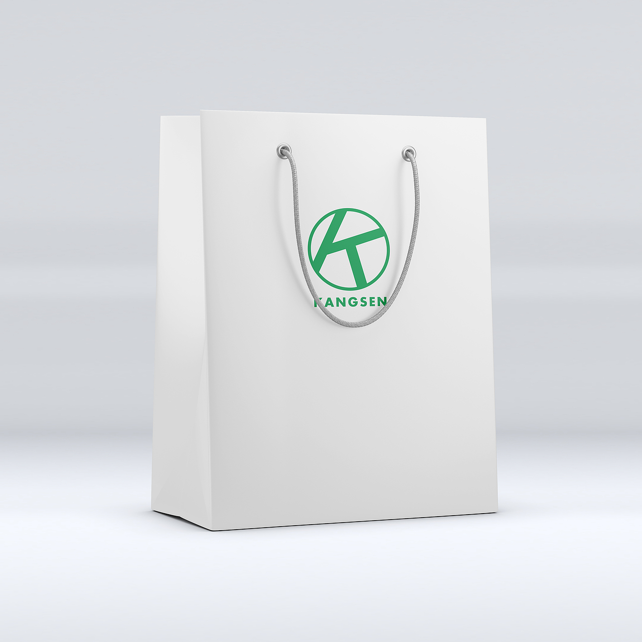 LOGO 样机展示
