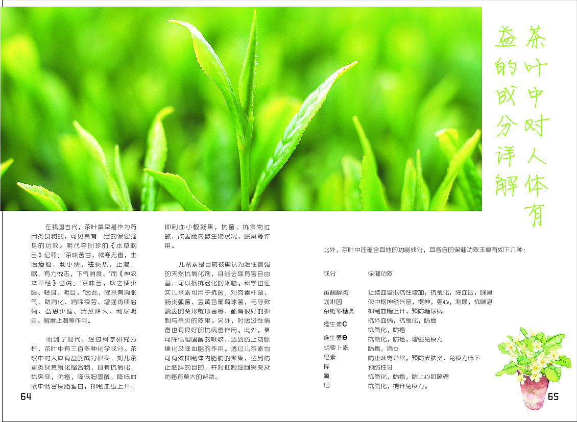 廿四味の生活-书籍装帧作业（图ZMjQwMDI3MDA=） - 书籍/画册 - 站酷设计师瑶菇凉丶原创素材 - 站酷ZCOOL