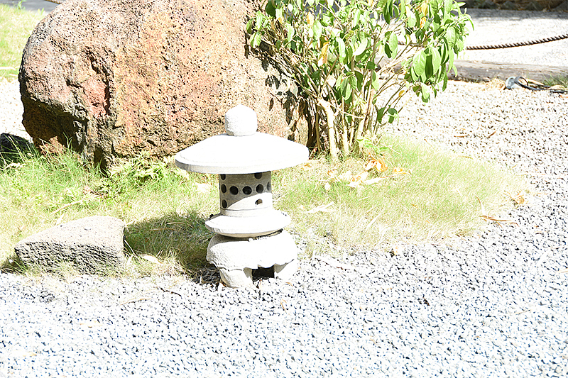 摄影作品《夏天—绿色》