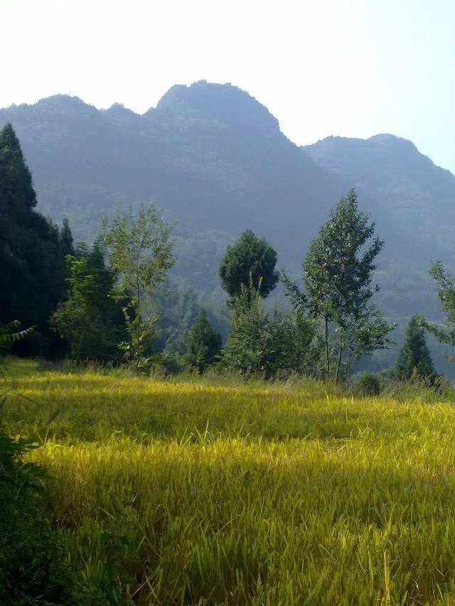 四川省宣汉县双河帽盒山