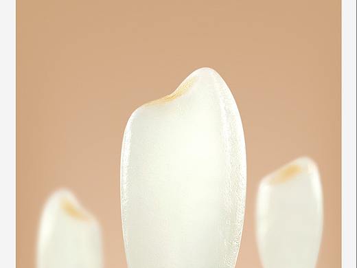 大米拍摄-食物拍摄