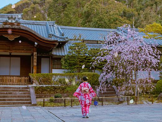 京都数日，散图日记