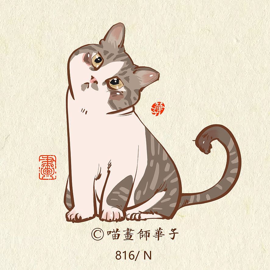 画猫的第三季150天,837天的画猫纪录