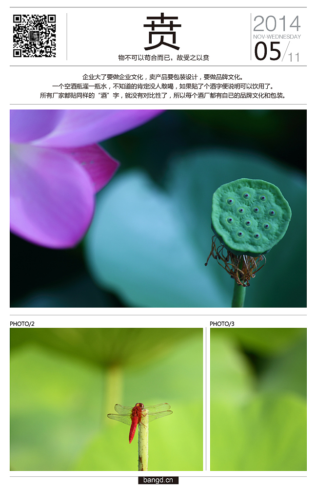 易朵莲花--《荷》摄影日记(图ZMjIxNjUyMDg=) - 风光摄影 - 站酷设计师午夜红茶原创素材 - 站酷ZCOOL