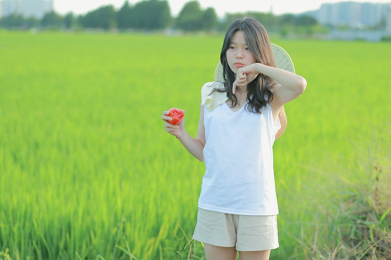 《小森林》——夏日篇