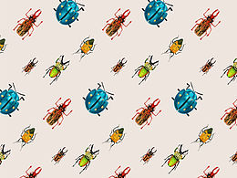 昆虫✖毕业设计｜这是我的毕业设计