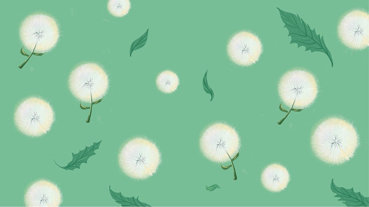 儿童绘本——蒲公英搬新家