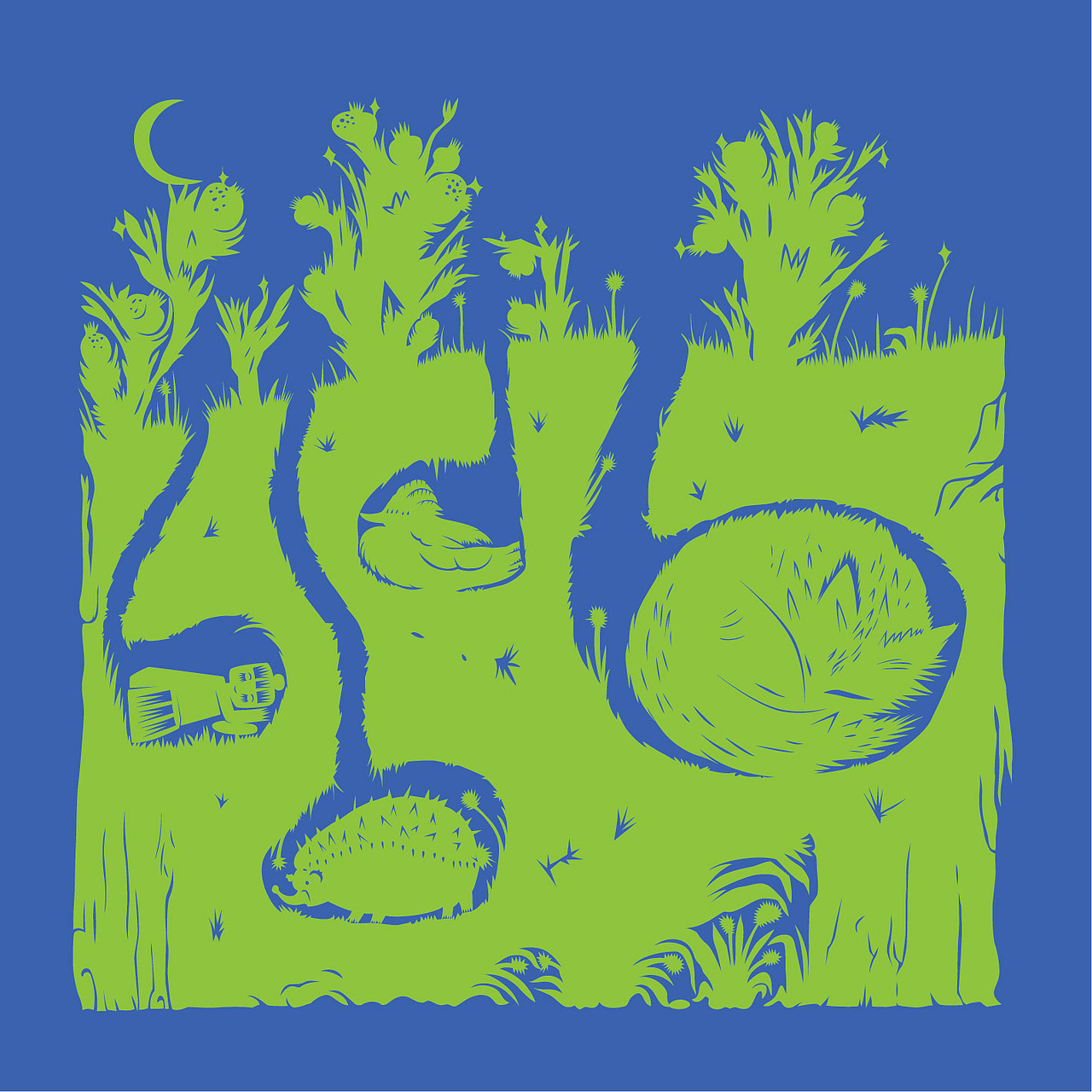 给自己的礼物 《采虹奇遇》