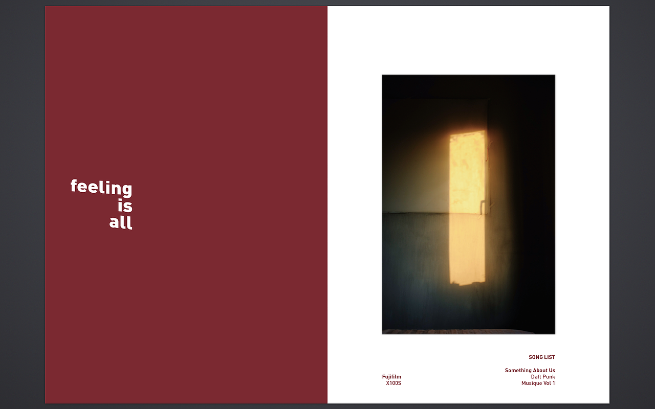 照片书:《 Fake Plastic Life 》Vol.01