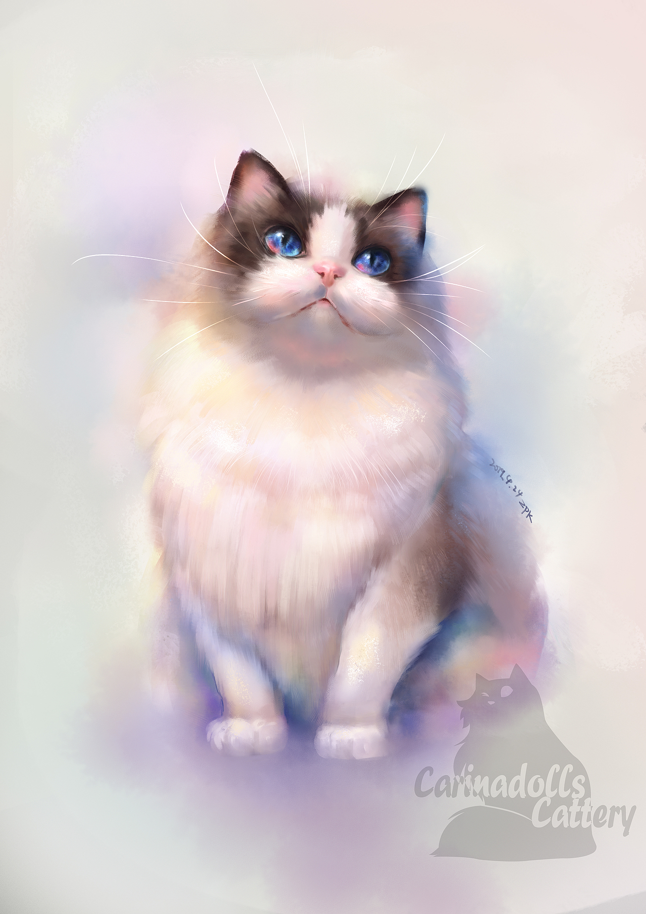 布偶猫水粉小拉