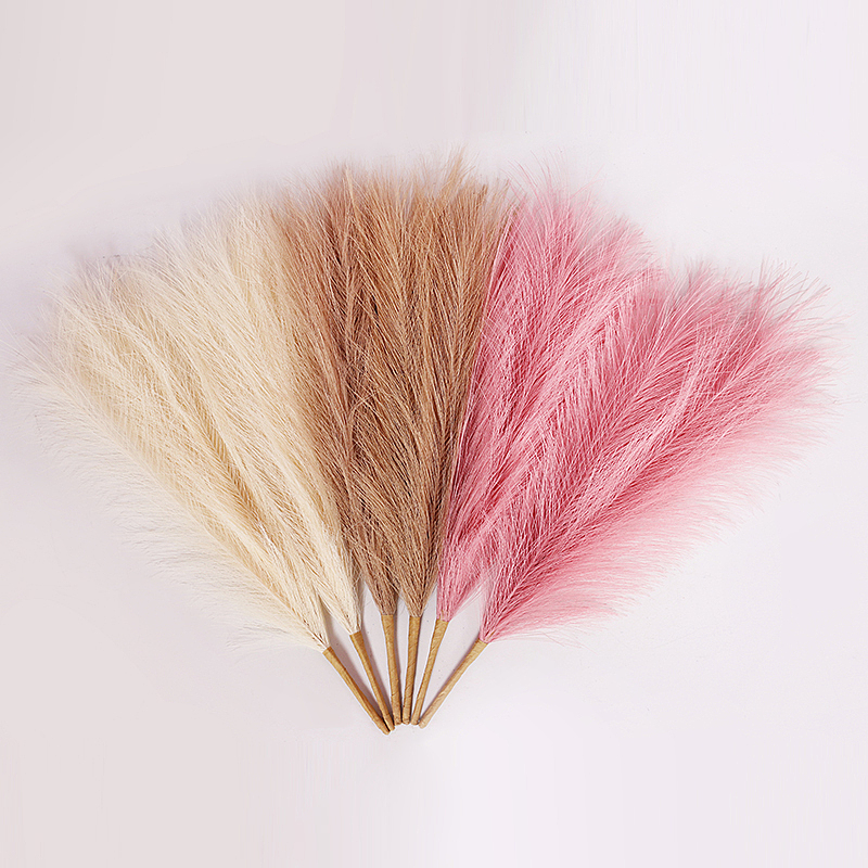 干植物（图ZMjc4MDIzMjM2） - 时尚/艺术摄影 - 站酷设计师一块咸砖头原创素材 - 站酷ZCOOL