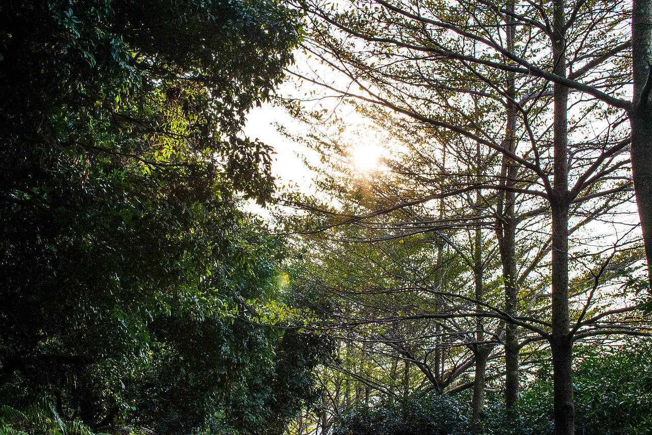 大岭山（图ZMTEzNTI1OTY0） - 风光摄影 - 站酷设计师小小宇文月lois原创素材 - 站酷ZCOOL