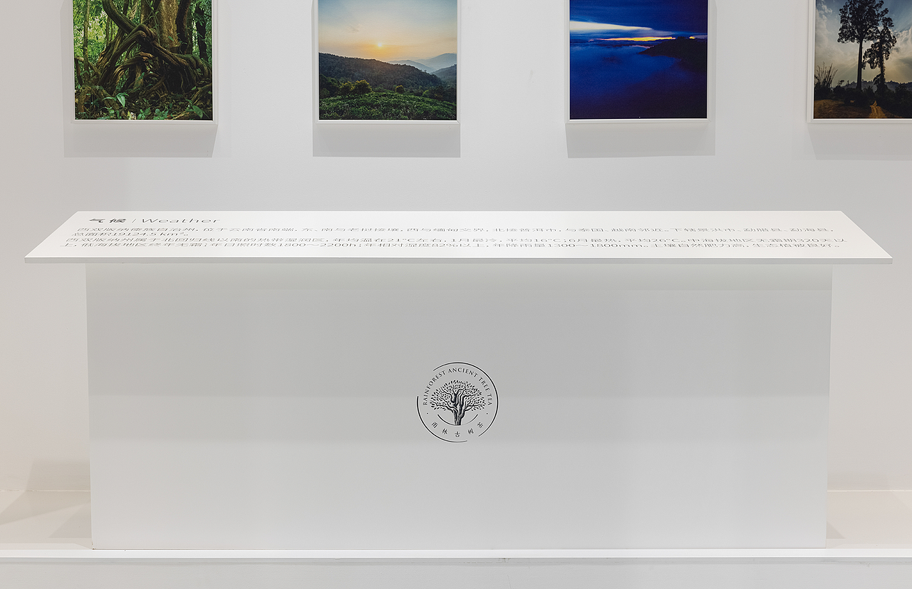 沉浸体验时代，雨林古树茶的体验之旅（图ZMjk0OTgzNDAw） - 展陈设计 - 站酷设计师容品牌原创素材 - 站酷ZCOOL