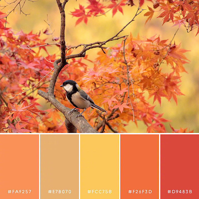 大自然的颜色搭配，转需收藏！（图ZMTkyMDQwNzgw） - 其他平面 - 站酷设计师学设计上兔课网原创素材 - 站酷ZCOOL