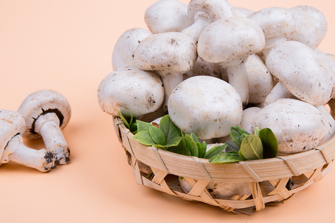 西餐入门1080：蘑菇篇，介绍几种西餐中常见的蘑菇给大家 - 知乎