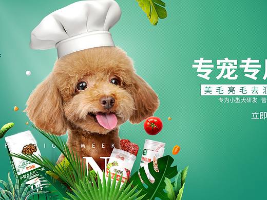 宠粮海报