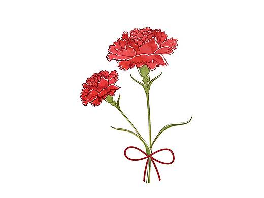 手绘花束插画