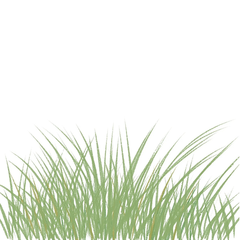 手绘速写打卡D3