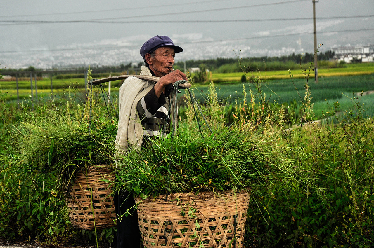 雨季云南//大理//丽江