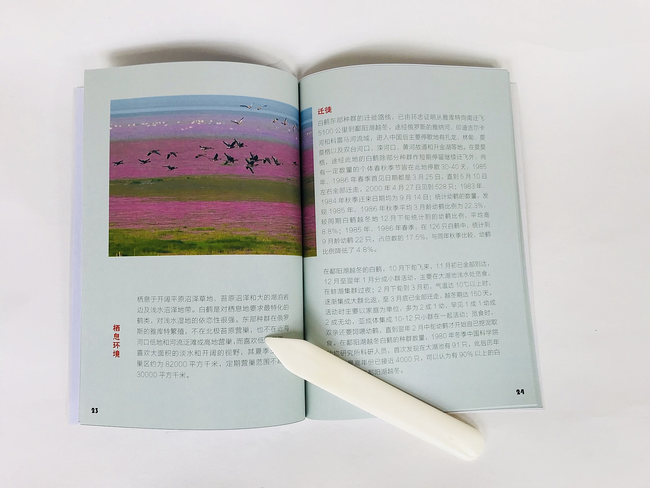 湖中游记l鄱阳湖简介书籍创作