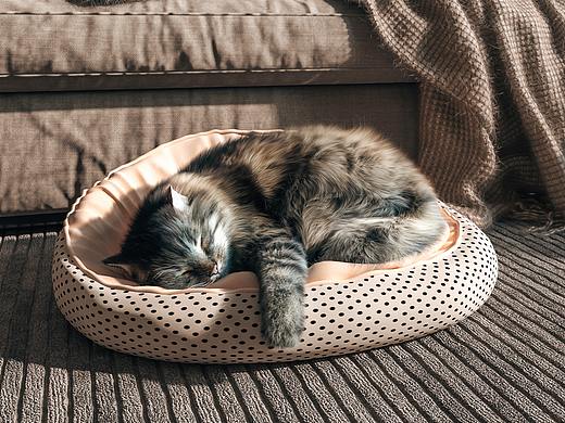 《和睦》（個(gè)人主頁(yè)-ZNTYyMjUyMjA=） - 家裝設(shè)計(jì) - 站酷設(shè)計(jì)師涵涵不是雪渣原創(chuàng)素材 - 站酷ZCOOL